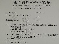 絲皮菌屬藏品圖，第2張