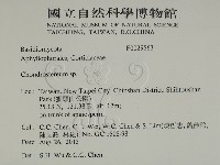 登錄號:F0029563藏品圖，第2張