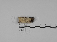 登錄號:F0029563藏品圖，第1張