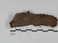 登錄號:F0029565藏品圖，第1張