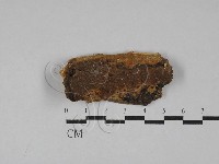 登錄號:F0029567藏品圖，第1張