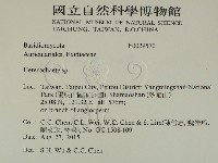 刺皮菌屬藏品圖，第2張