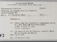 登錄號:F0029571藏品圖，第2張