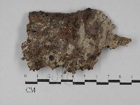 登錄號:F0029571藏品圖，第1張