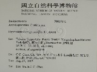 剛毛絲皮菌藏品圖，第2張