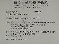 登錄號:F0029573藏品圖，第2張