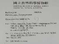 登錄號:F0029574藏品圖，第2張