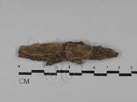 登錄號:F0029574藏品圖，第1張