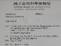 登錄號:F0029575藏品圖，第2張