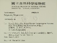 多年臥孔菌屬藏品圖，第2張