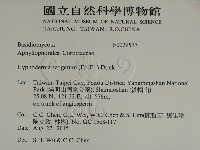 剛毛絲皮菌藏品圖，第2張