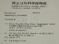 粗糙孢菌屬藏品圖，第2張