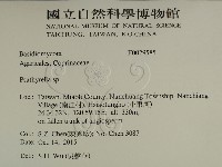 登錄號:F0029585藏品圖，第2張