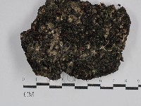 登錄號:F0029585藏品圖，第1張