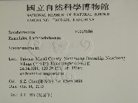 登錄號:F0029586藏品圖，第2張