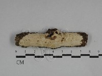 登錄號:F0029586藏品圖，第1張