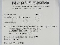 容氏菌屬藏品圖，第2張