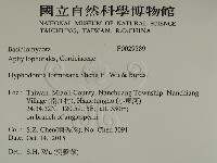 登錄號:F0029589藏品圖，第2張