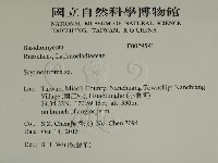 登錄號:F0029591藏品圖，第2張