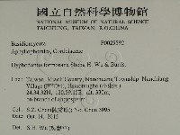 登錄號:F0029592藏品圖，第2張