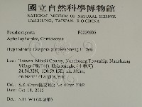 登錄號:F0029595藏品圖，第2張