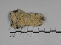 登錄號:F0029595藏品圖，第1張