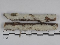 登錄號:F0029596藏品圖，第1張