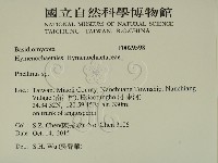 木層孔菌屬藏品圖，第2張