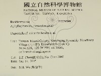 登錄號:F0029599藏品圖，第2張