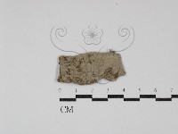 登錄號:F0029599藏品圖，第1張