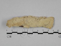 登錄號:F0029601藏品圖，第1張
