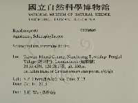 裂褶菌藏品圖，第2張