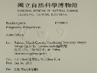 登錄號:F0029606藏品圖，第2張