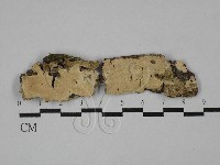 登錄號:F0029606藏品圖，第1張