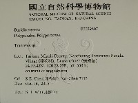 栓菌屬藏品圖，第2張