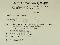 銳孔菌屬藏品圖，第2張