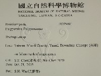 附毛菌屬藏品圖，第2張