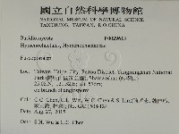 登錄號:F0029613藏品圖，第2張