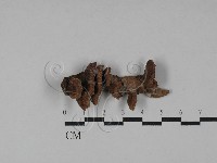 登錄號:F0029613藏品圖，第1張