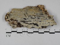 登錄號:F0029615藏品圖，第1張