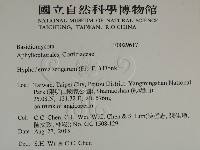 剛毛絲皮菌藏品圖，第2張