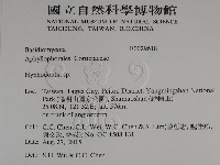 絲齒菌屬藏品圖，第2張