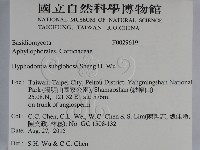 登錄號:F0029619藏品圖，第2張