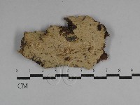 登錄號:F0029619藏品圖，第1張