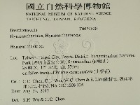 刺革菌屬藏品圖，第2張