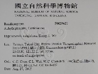 登錄號:F0029621藏品圖，第2張