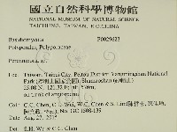 多年臥孔菌屬藏品圖，第2張