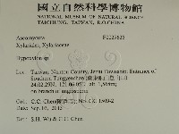 登錄號:F0029625藏品圖，第2張