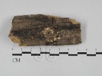 登錄號:F0029626藏品圖，第1張