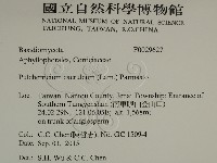 登錄號:F0029627藏品圖，第2張